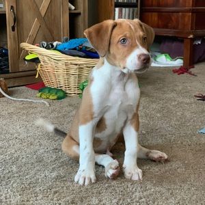 Meet your Posher, Marisa